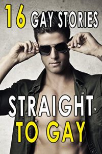 Baixar Straight To Gay: 16 Hot Book Bundle Collection (English Edition) pdf, epub, eBook
