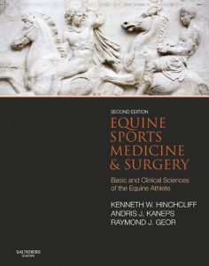 Baixar Equine Sports Medicine and Surgery E-Book pdf, epub, eBook