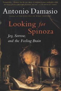Baixar Looking for Spinoza: Joy, Sorrow, and the Feeling Brain pdf, epub, eBook