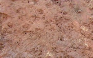 Baixar Die Farben von Goa (German Edition) pdf, epub, eBook