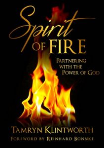 Baixar Spirit of Fire: Partnering with the Power of God (English Edition) pdf, epub, eBook