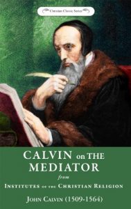 Baixar Calvin on the Mediator (English Edition) pdf, epub, eBook