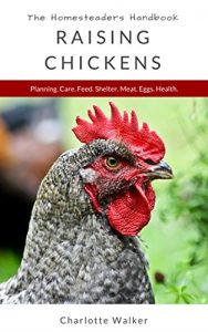 Baixar The Homesteader’s Handbook: Raising Chickens (English Edition) pdf, epub, eBook