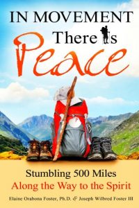 Baixar In Movement There Is Peace: Stumbling 500 Miles Along the Way to the Spirit (English Edition) pdf, epub, eBook