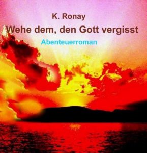 Baixar Wehe dem, den Gott vergisst (German Edition) pdf, epub, eBook