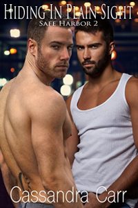 Baixar Hiding In Plain Sight (Safe Harbor Book 2): MM hockey romance (English Edition) pdf, epub, eBook