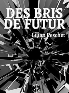 Baixar Des bris de futur (French Edition) pdf, epub, eBook