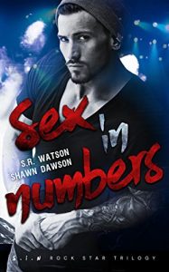Baixar Sex in Numbers (S.I.N. Rock Star Trilogy) (English Edition) pdf, epub, eBook