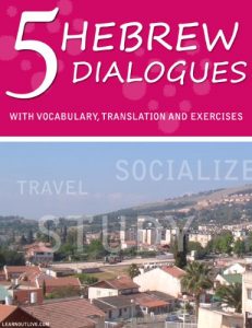 Baixar 5 Hebrew Dialogues With Vocabulary, Translation And Exercises (English Edition) pdf, epub, eBook