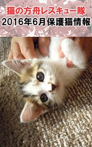 Baixar nekonohakobuneresukyutai2016nen6gatsuhogonekojouhou (Japanese Edition) pdf, epub, eBook