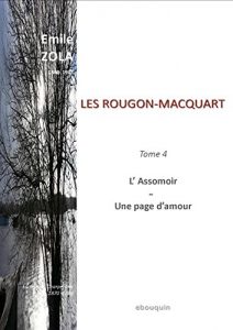 Baixar LES ROUGON-MACQUART: Tome 4 : L’Assomoir – Une page d’Amour (French Edition) pdf, epub, eBook