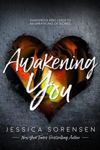 Baixar Awakening You (Unraveling You Book 3) (English Edition) pdf, epub, eBook