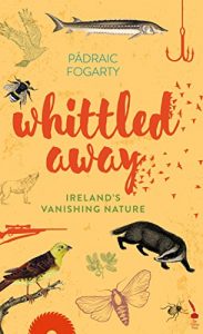 Baixar Whittled Away: Ireland’s Vanishing Nature pdf, epub, eBook