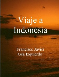 Baixar Viaje a Indonesia (Spanish Edition) pdf, epub, eBook