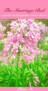 Baixar Pemberley Interludes: The Marriage Bed (English Edition) pdf, epub, eBook