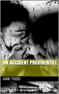 Baixar Un accident providentiel (French Edition) pdf, epub, eBook