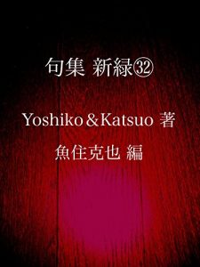 Baixar kushuu shinryoku sanjuuni (Japanese Edition) pdf, epub, eBook