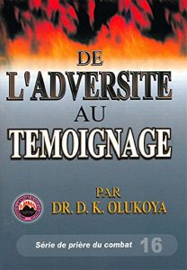 Baixar De L’adversite au Temoignage (French Edition) pdf, epub, eBook
