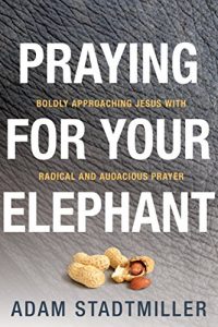 Baixar Praying for Your Elephant: Boldly Approaching Jesus with Radical and Audacious Prayer (English Edition) pdf, epub, eBook