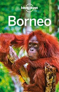 Baixar Lonely Planet Borneo (Travel Guide) pdf, epub, eBook