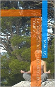 Baixar La Boutikozibook – Les Articles – Tome 2 (French Edition) pdf, epub, eBook
