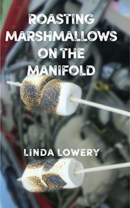Baixar Roasting Marshmallows on the Manifold (English Edition) pdf, epub, eBook