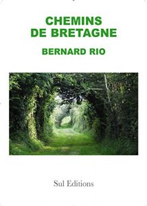 Baixar Chemins de Bretagne (French Edition) pdf, epub, eBook