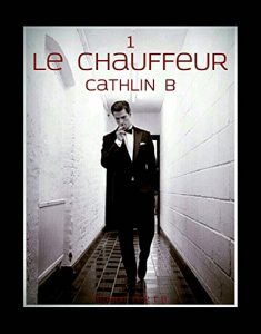 Baixar LE CHAUFFEUR (French Edition) pdf, epub, eBook
