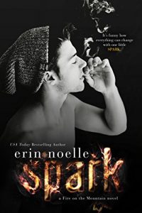 Baixar Spark (Fire on the Mountain Book 1) (English Edition) pdf, epub, eBook