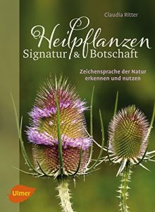 Baixar Heilpflanzen. Signatur und Botschaft: Zeichensprache der Natur erkennen und nutzen (German Edition) pdf, epub, eBook