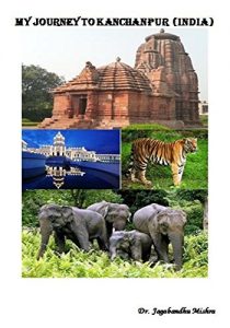 Baixar MY JOURNEY TO KANCHANPUR (INDIA) (English Edition) pdf, epub, eBook