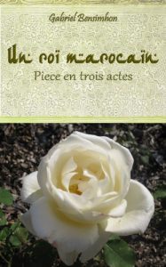 Baixar UN ROI MAROCAIN (French Edition) pdf, epub, eBook