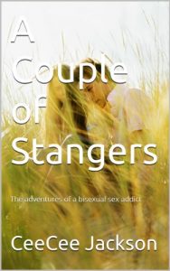 Baixar A Couple of Stangers (The adventures of a bisexual sex addict Book 1) (English Edition) pdf, epub, eBook