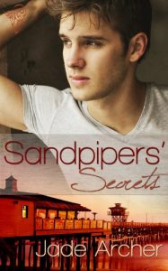Baixar Sandpipers’ Secrets (English Edition) pdf, epub, eBook