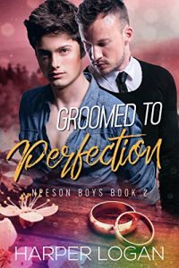 Baixar Groomed to Perfection (Neeson Boys Book 2) (English Edition) pdf, epub, eBook
