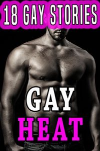 Baixar Gay Heat: 18 Book Bundle Collection (English Edition) pdf, epub, eBook