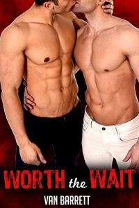 Baixar Worth the Wait (First Time Gay Erotic Short) (English Edition) pdf, epub, eBook