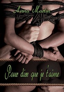 Baixar Pour dire que je t’aime (Une Autre Voie t. 3) (French Edition) pdf, epub, eBook