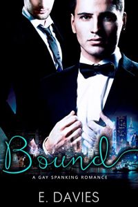 Baixar Bound (Secret Love Book 2) (English Edition) pdf, epub, eBook