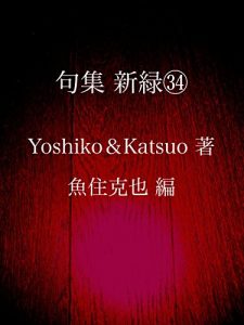 Baixar kushuu shinryoku sanjuuyon (Japanese Edition) pdf, epub, eBook