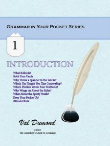 Baixar Introduction (Grammar in Your Pocket Book 1) (English Edition) pdf, epub, eBook