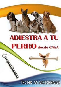 Baixar ADIESTRA A TU PERRO Desde Casa (Spanish Edition) pdf, epub, eBook