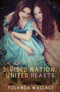 Baixar Divided Nation, United Hearts (English Edition) pdf, epub, eBook