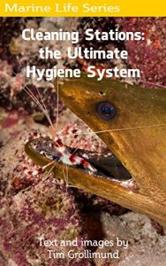 Baixar Cleaning Stations: the Ultimate Hygiene System (English Edition) pdf, epub, eBook