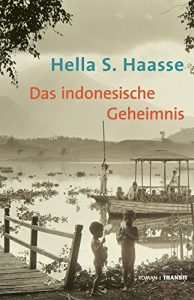 Baixar Das indonesische Geheimnis: Roman (German Edition) pdf, epub, eBook