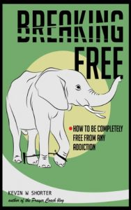 Baixar Breaking Free: How to be Completely Free from any Addiction (English Edition) pdf, epub, eBook
