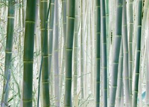 Baixar SUKONIAIHAARUKA: ANATAHAHITORIZYANAIKARA (zyunbungaku) (Japanese Edition) pdf, epub, eBook