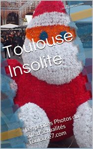 Baixar Toulouse Insolite (French Edition) pdf, epub, eBook