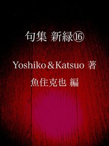 Baixar kushuu shinryoku juuroku (Japanese Edition) pdf, epub, eBook