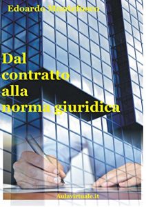 Baixar Dal contratto alla norma giuridica pdf, epub, eBook